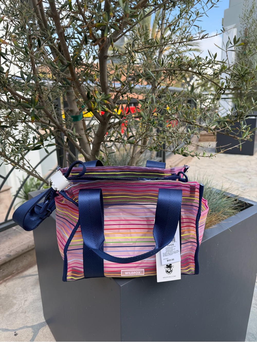 Wildfox Multicolor Stripe Tote